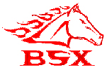 (image for) BSX
